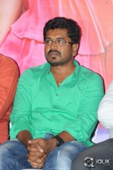 Loukyam Movie Platinum Disc Function